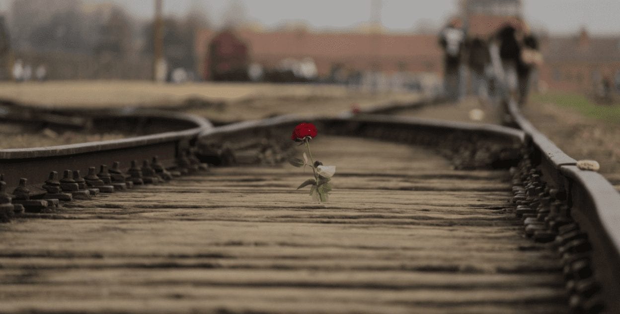 A railroad switch, with a rose standing up between the rails